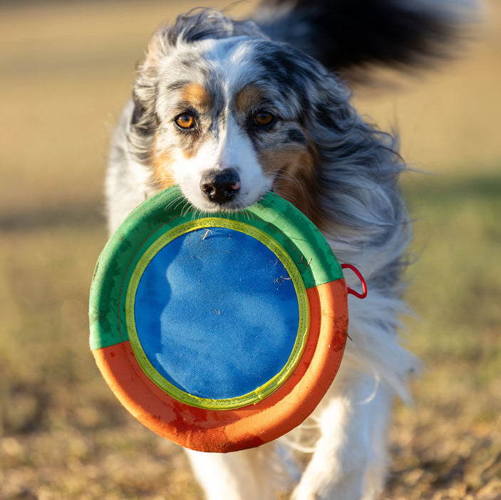 Pinwheel Frisbee Toy