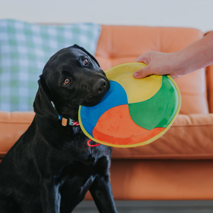 Swirl Frisbee Toy