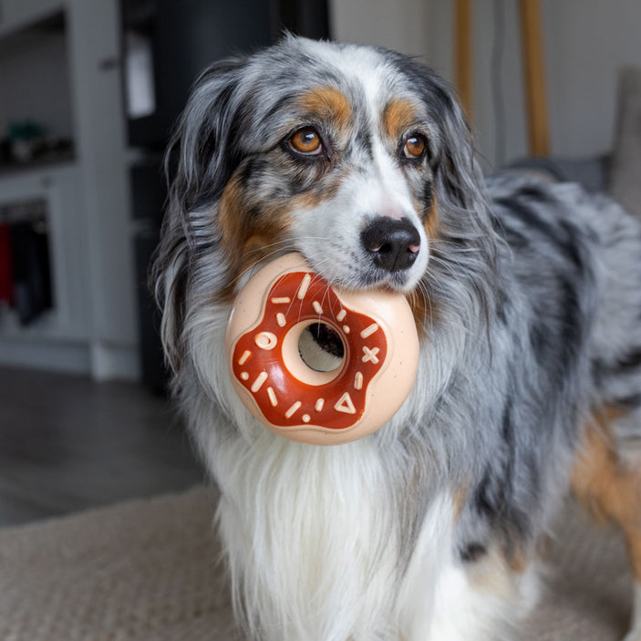 Chocolate Donut Squeaker Power Chew