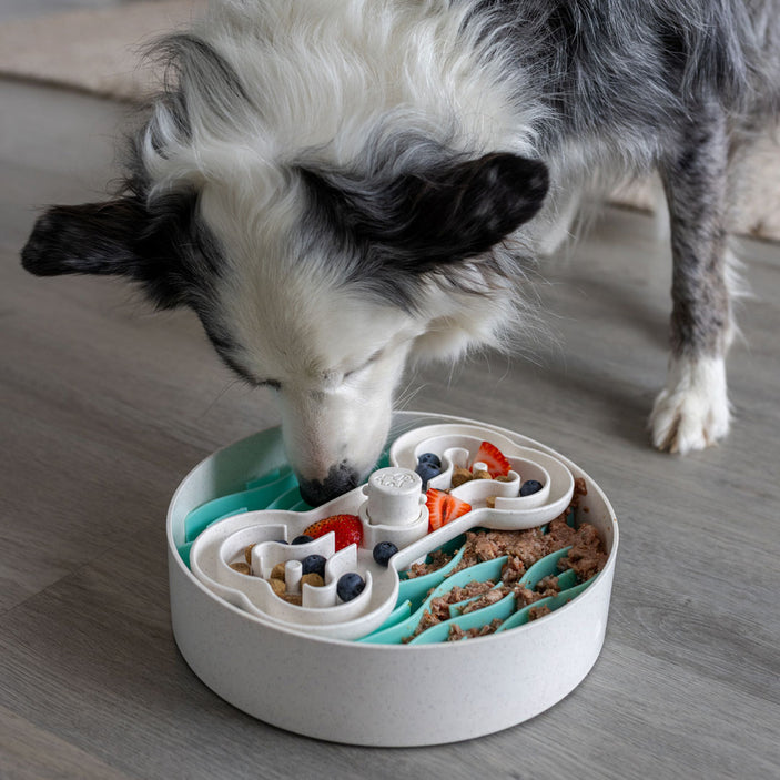 Green Puzzle Feeder Bowl