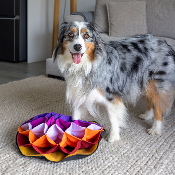 Lili Advanced Snuffle Pad