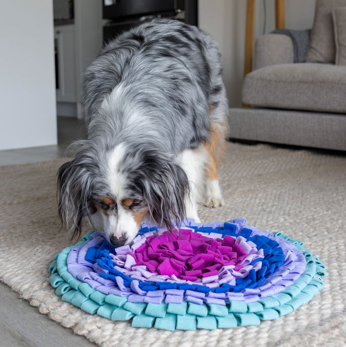 Santiago Snuffle Mat