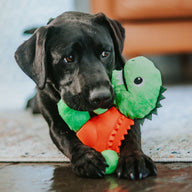 T-rex 2in1 Soft + Rubber Toy Treat Dispenser