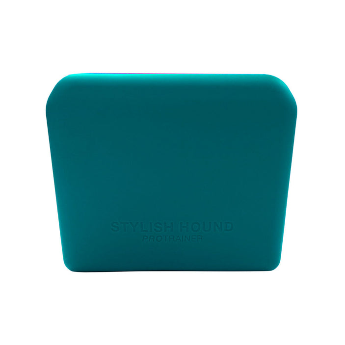 Teal Pro Trainer Silicone Pouch