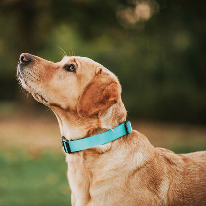 Quartz Collar - Quartz