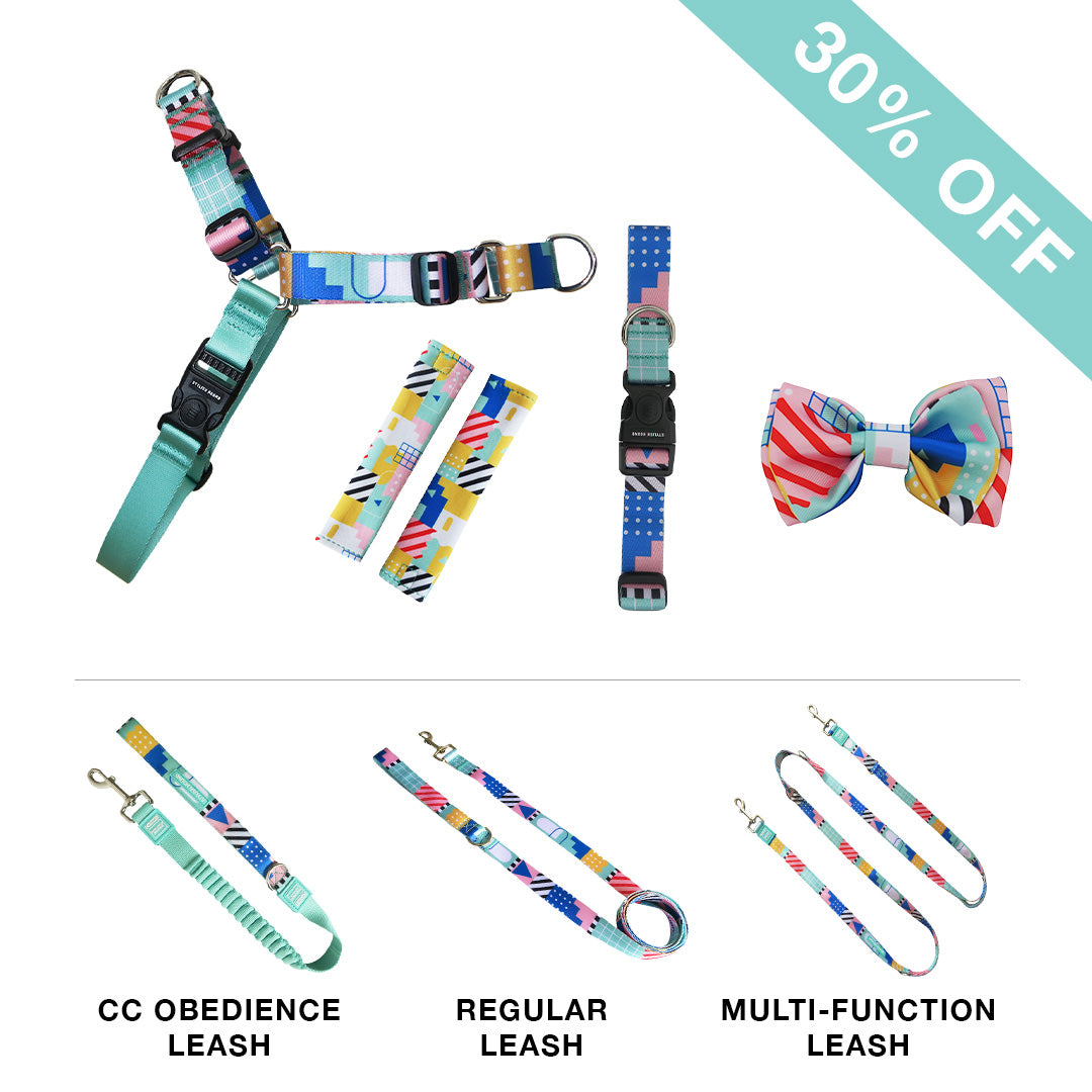 RNT No-Pull Harness + Leash + Collar + Bow Tie