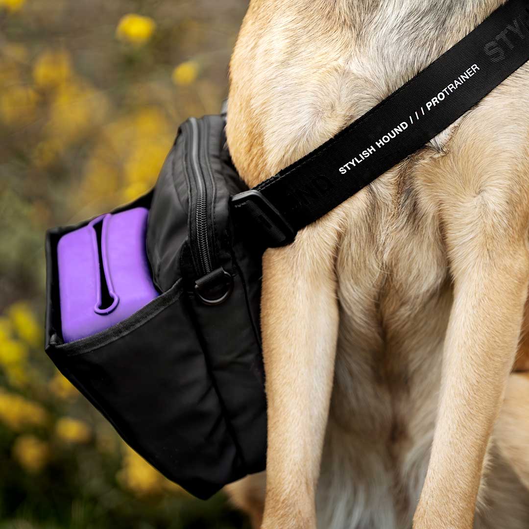 OG Training Treat Pouch