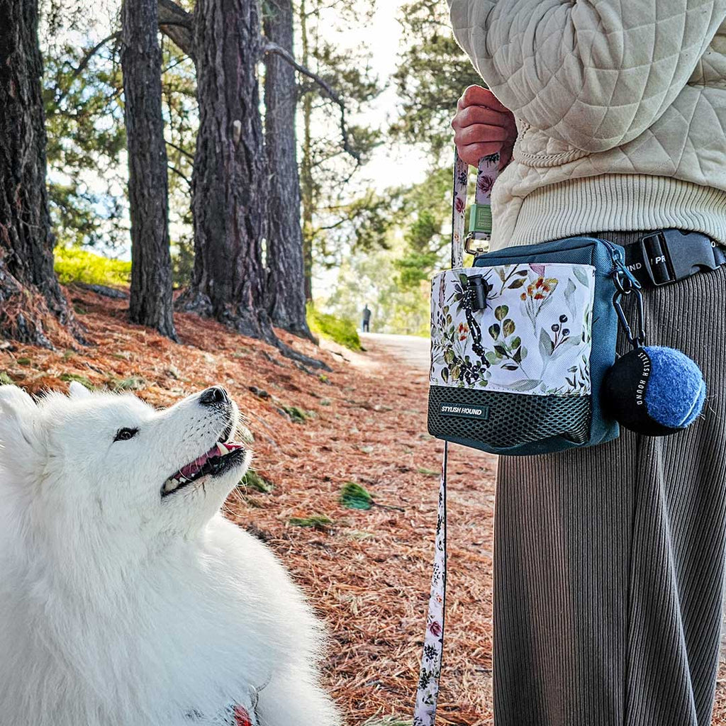 Evergreen Train n' Treat Pouch