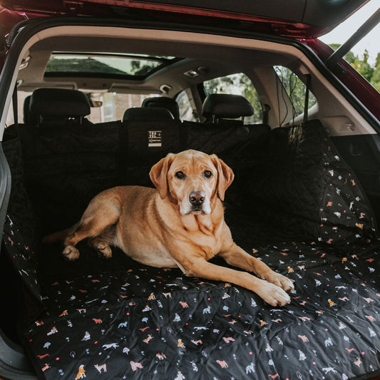 Boot Cover with Drawstring Bag