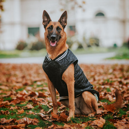 Black Grand Slam Bomber Jacket