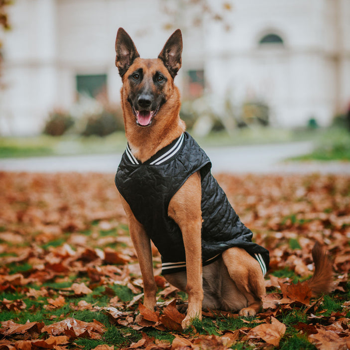 Black Grand Slam Bomber Jacket