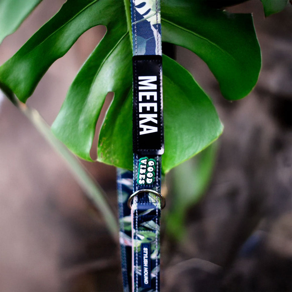 Eden Personalised Leash