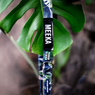 Eden Personalised Leash