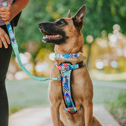 Milano CC Leash - Milano