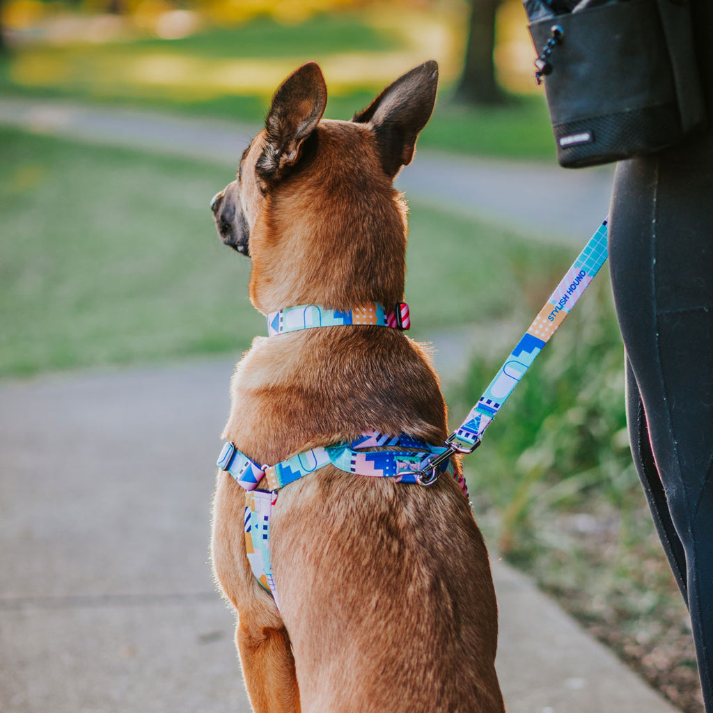 Milano OG No-Pull Training Harness - Milano