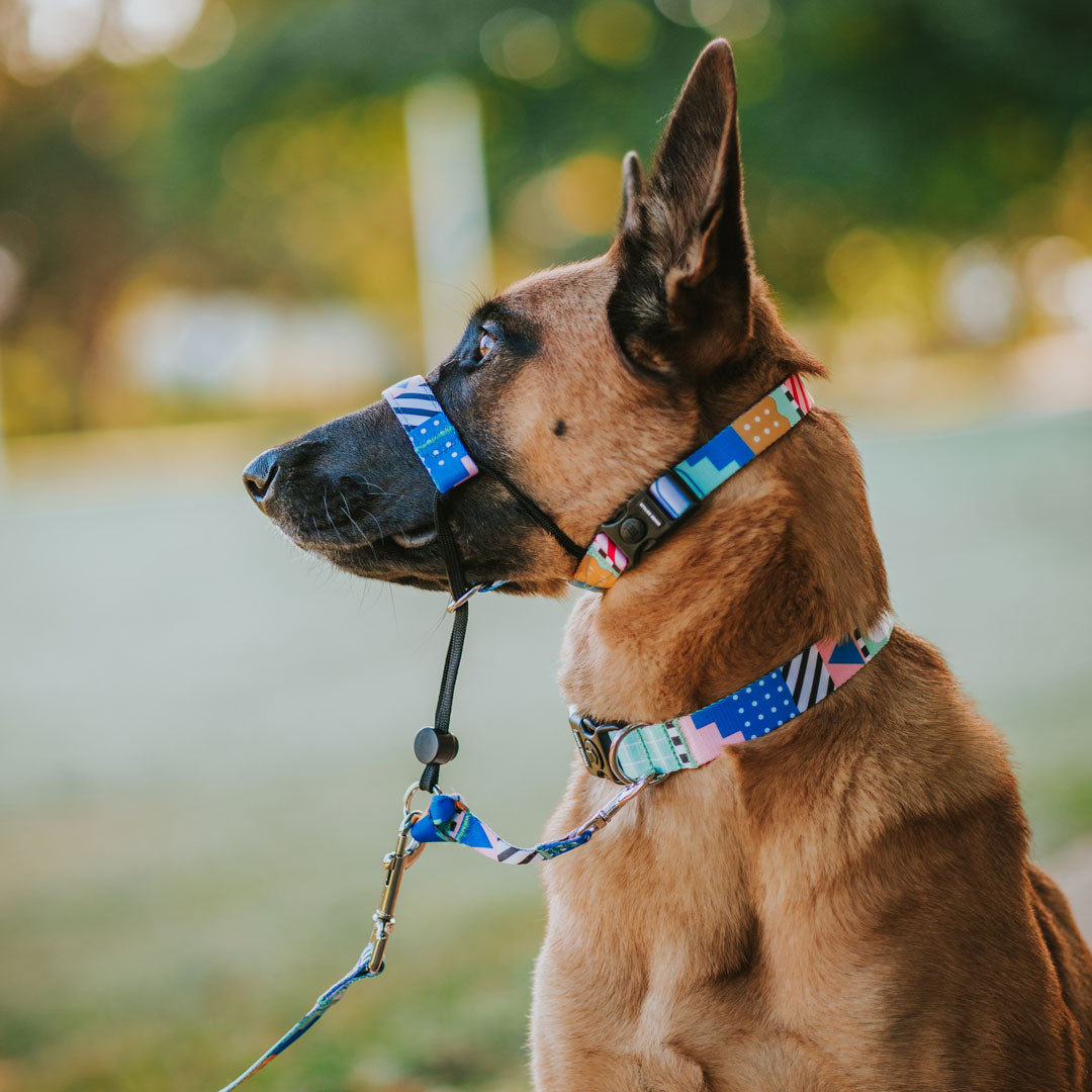 Milano Halter - Milano