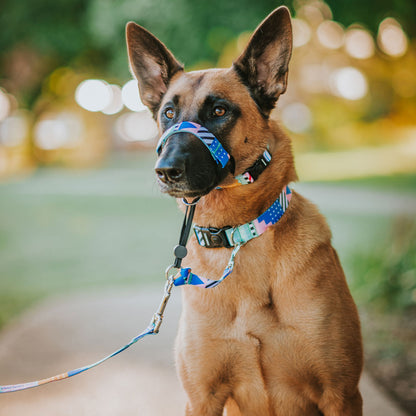 Milano Halter - Milano