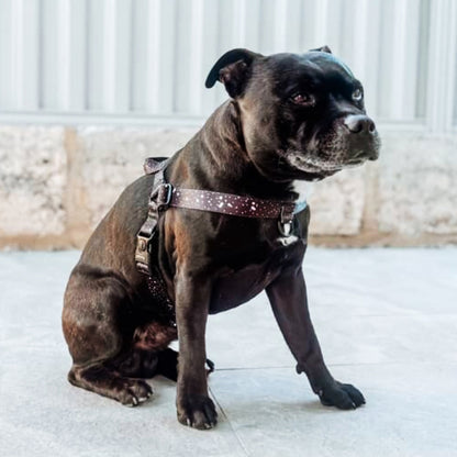 Jackson OG No-Pull Training Harness