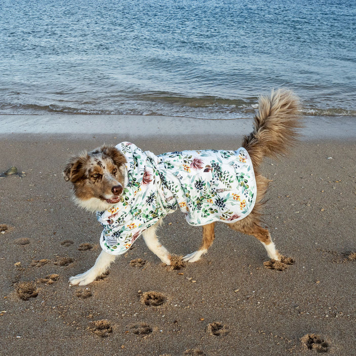 Evergreen Dog Robe