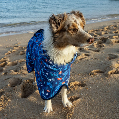 Ocean Blue Dog Robe - Ocean Blue