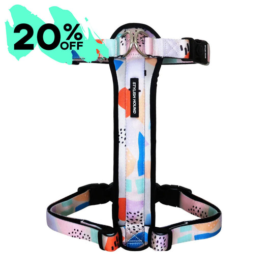 Explorer Chest Plate - SALE