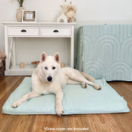 Sage Mattress & Cover