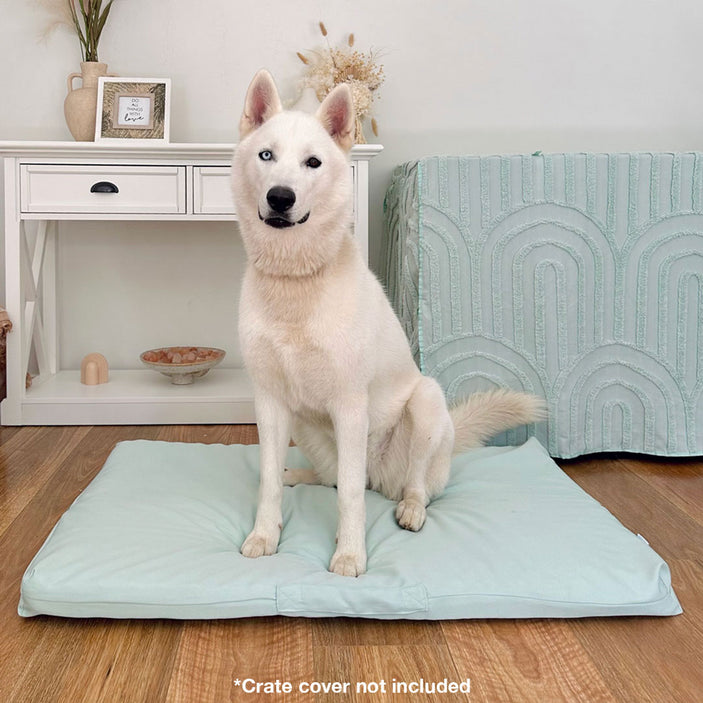 Sage Mattress & Cover
