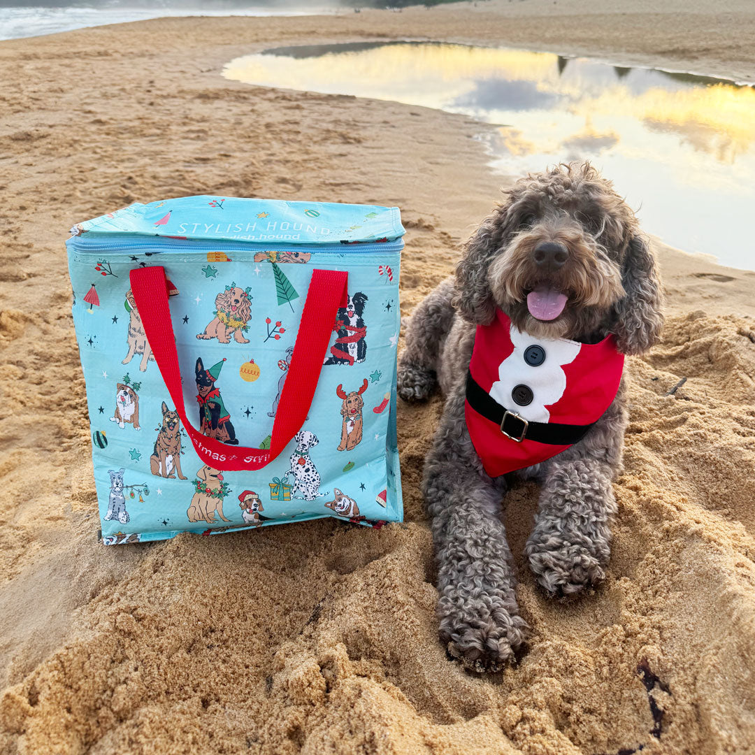 Christmas Festive Chillie Bag