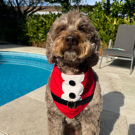 Santa Bandana