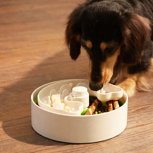 Lime Puzzle Feeder Bowl