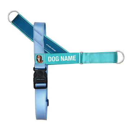 Personalised No-Pull Harness