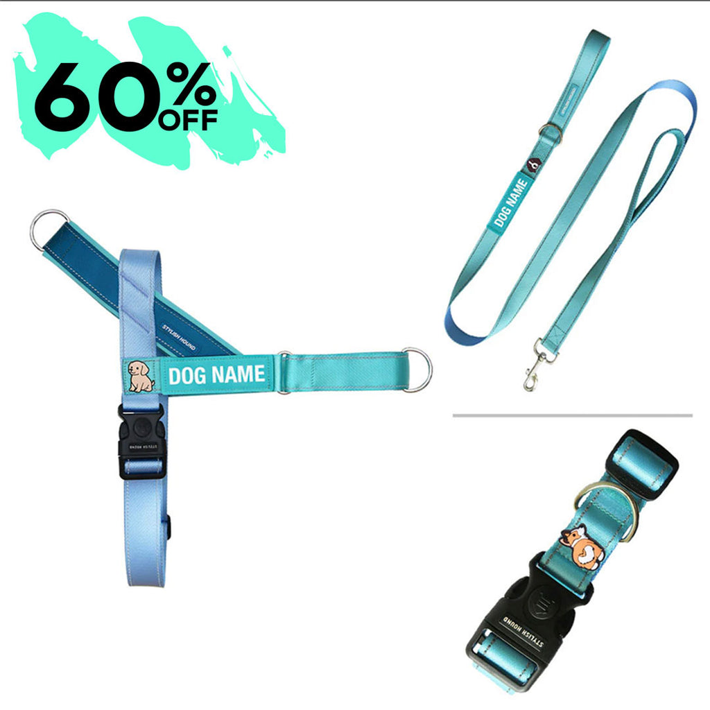 Personalised Walk Kit