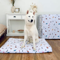 Happy Pack Mattress & Cover