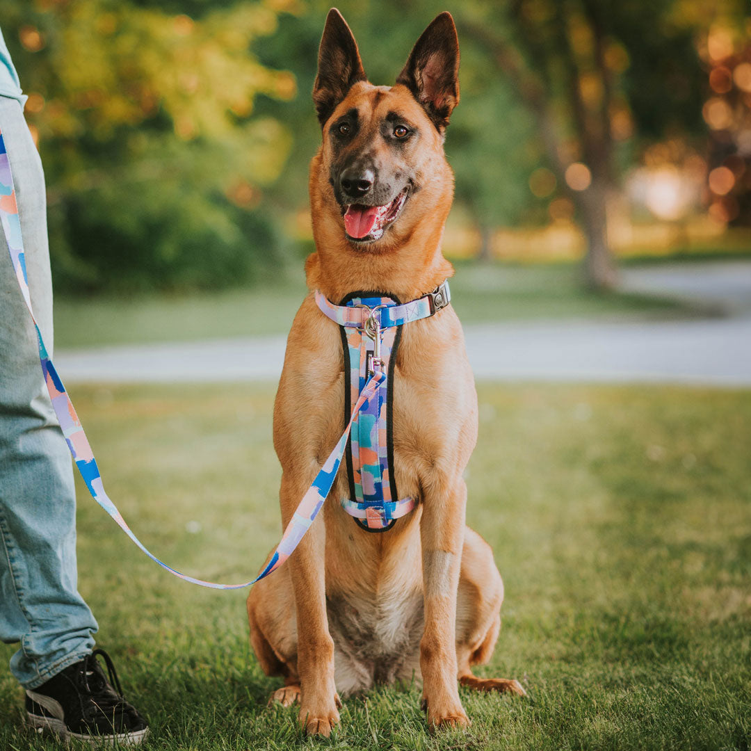 Chrome Leash - Chrome