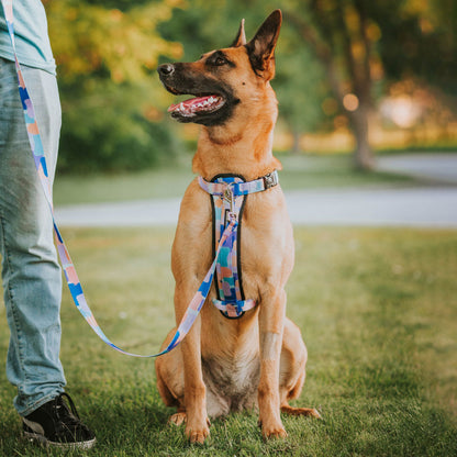 Chrome Explorer Chest Plate - Chrome