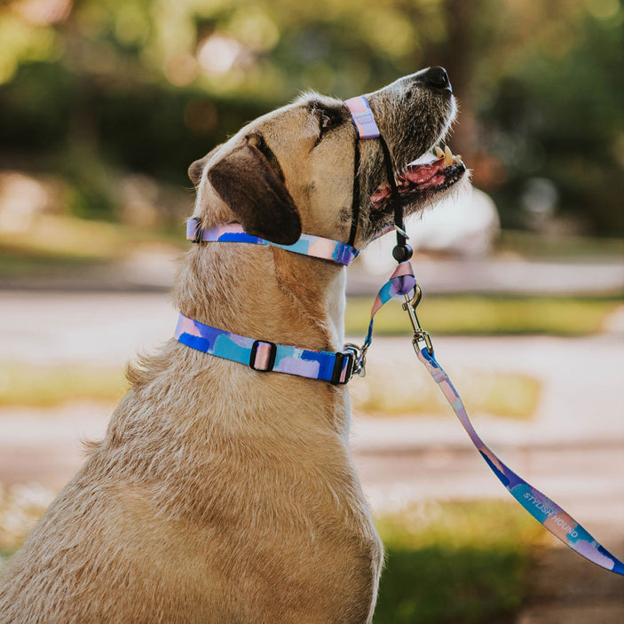 Chrome Collar