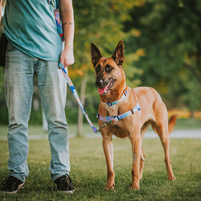 Chrome Multi-Function Leash - Chrome