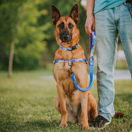 Luna OG No-Pull Training Harness