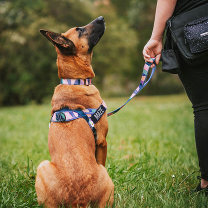 Personalised No-Pull Harness