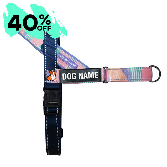 Personalised No-Pull Harness