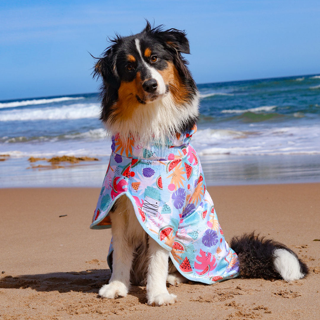 Miami Dog Robe - Miami