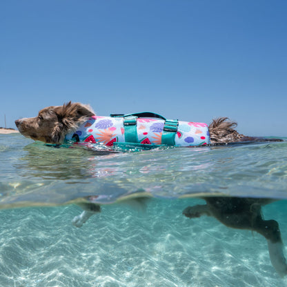 Miami Swim Jacket - Miami