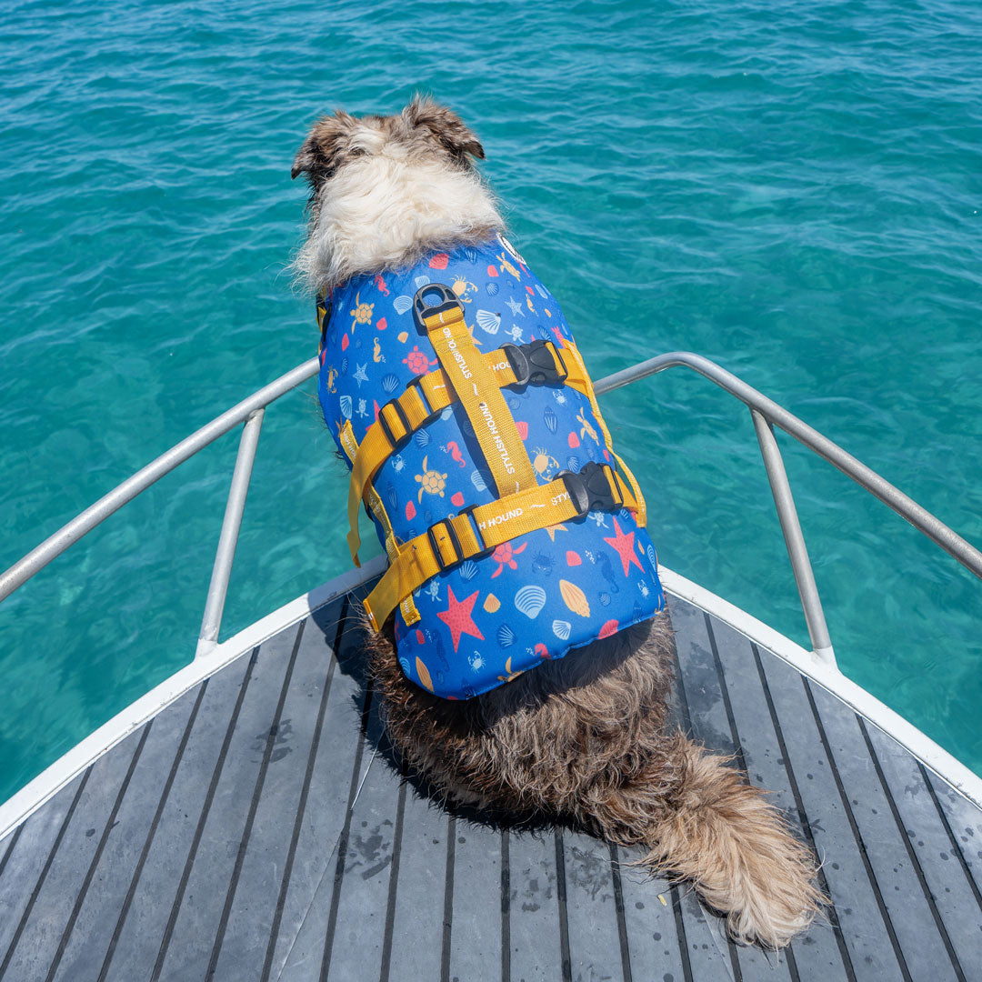 Rockpool Swim Jacket - Rockpool