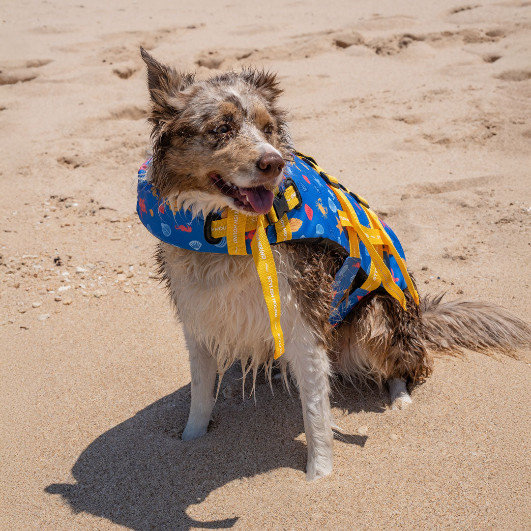 Rockpool Swim Jacket - Rockpool