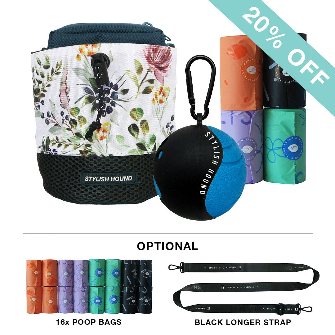 Train n' Treat Kit