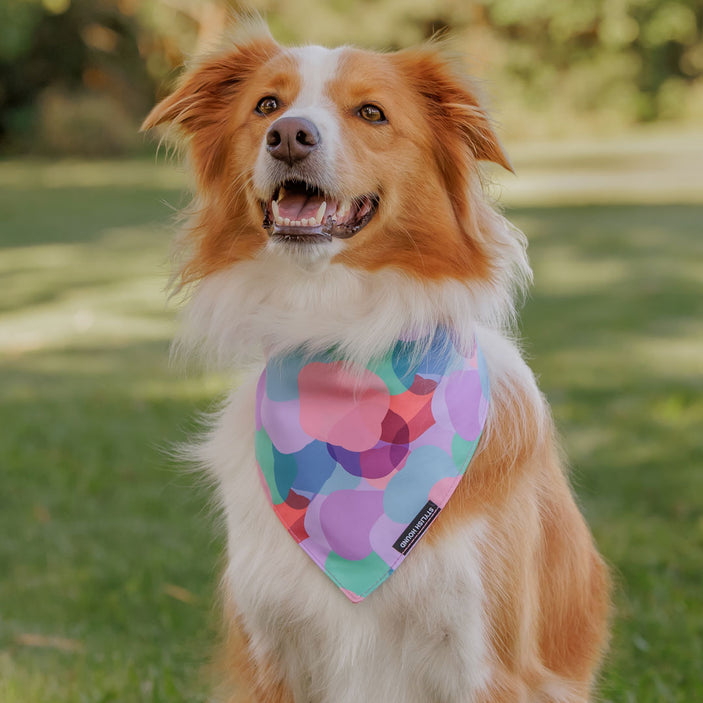 Atlas Bandana