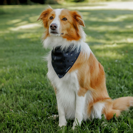 Blackout Bandana - Blackout