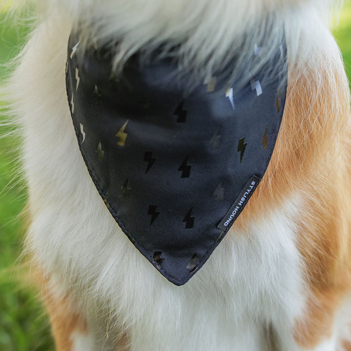 Blackout Bandana