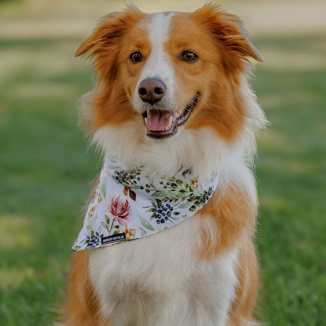 Evergreen Bandana