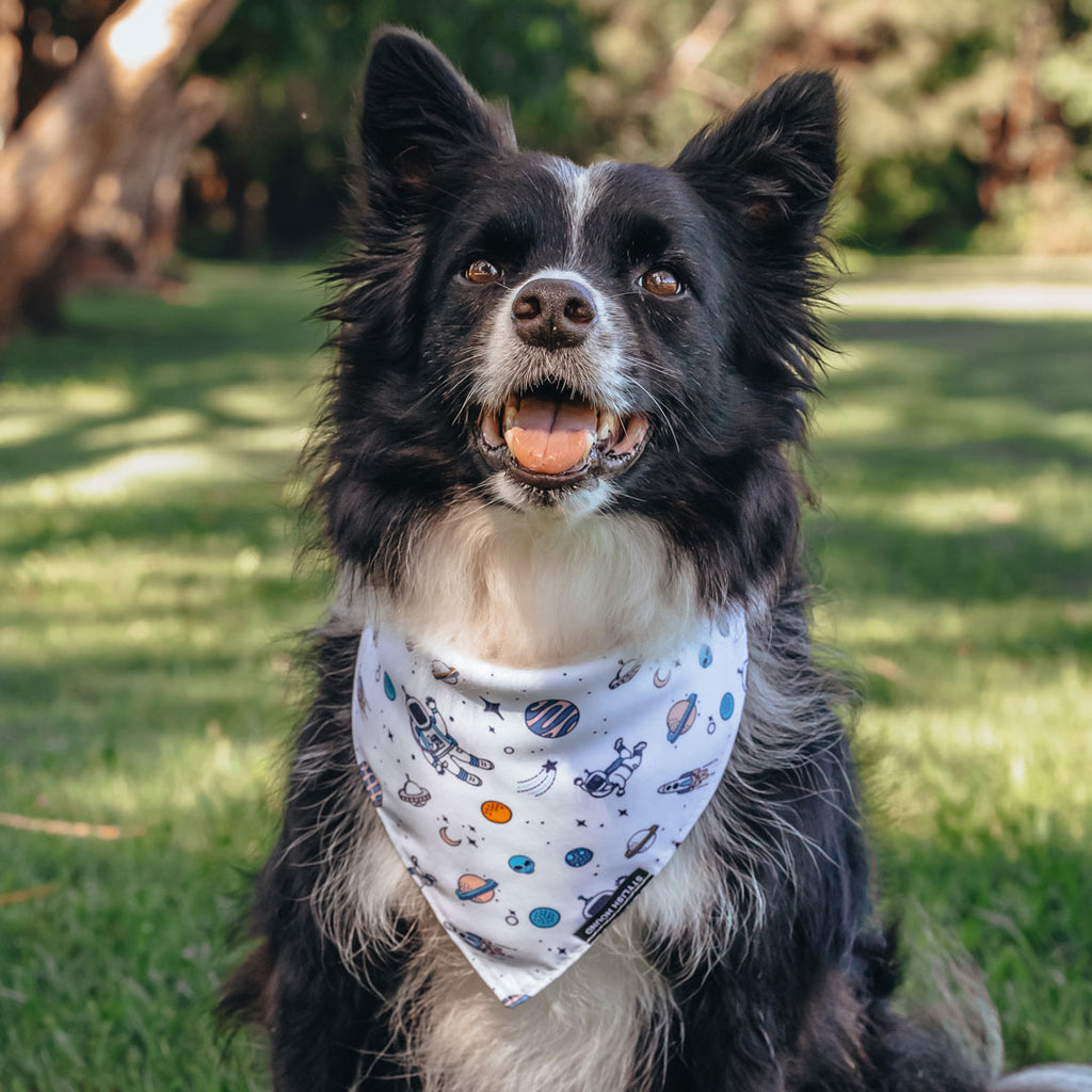 Ground Control Bandana - Ground Control